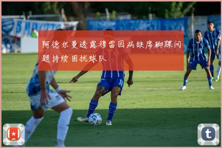 阿德尔曼透露穆雷因病缺席脚踝问题持续困扰球队